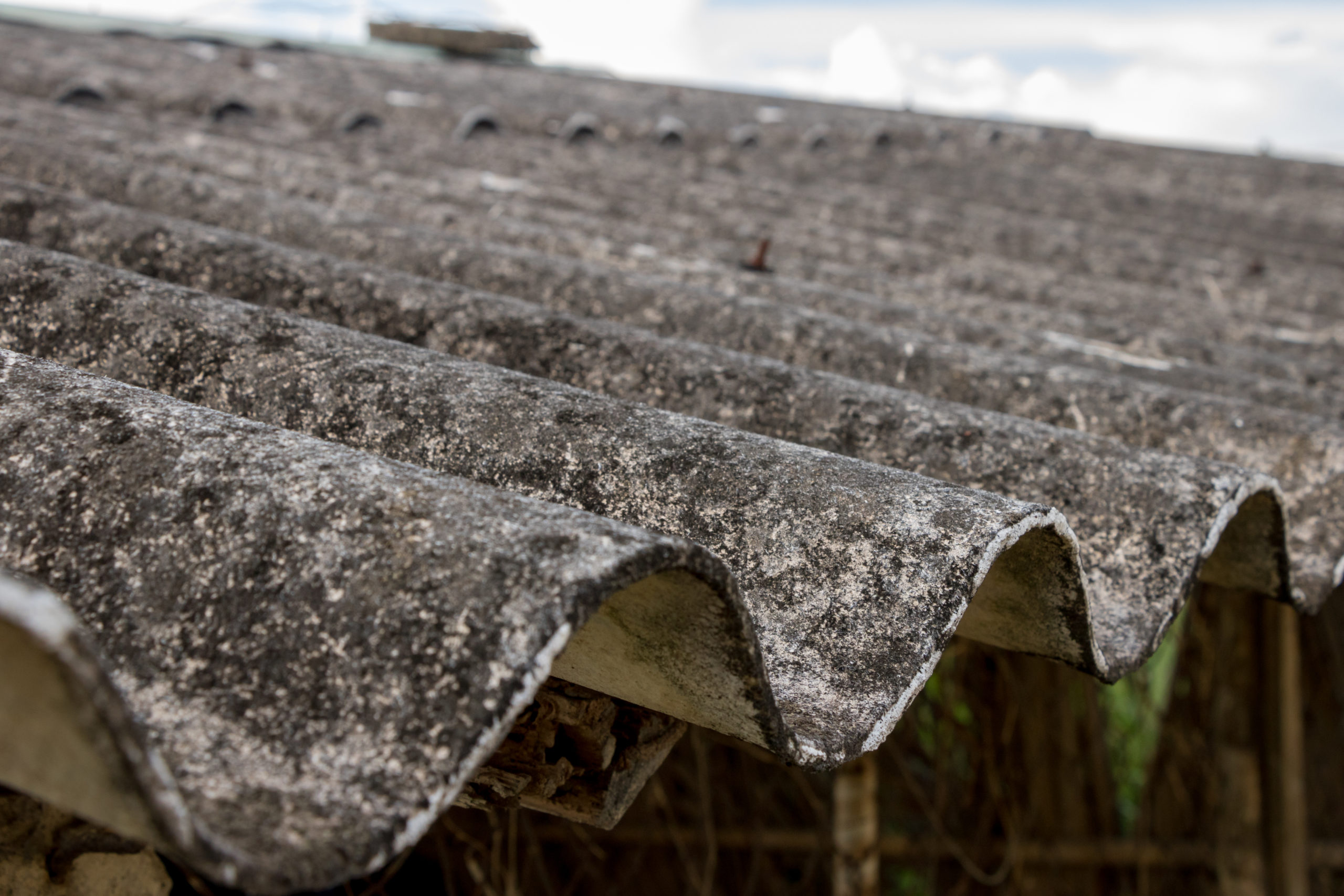 Asbestos-scaled