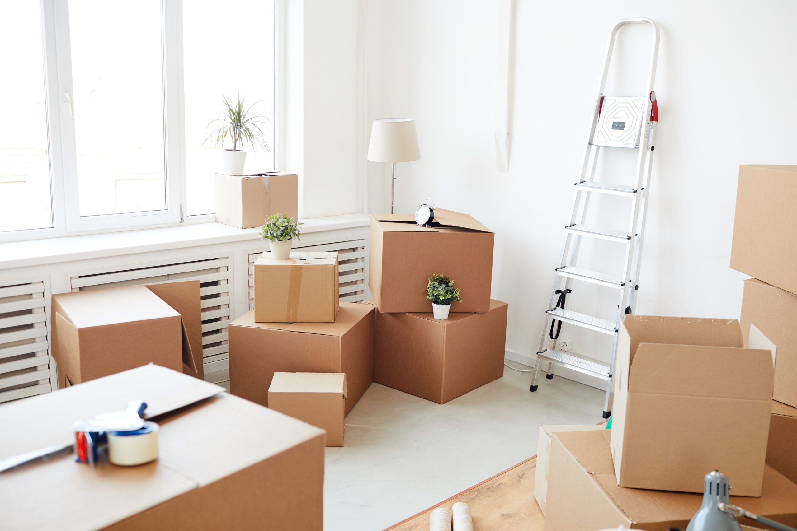First-Move-in-Decades-Here-Are-Our-Top-Tips-scaled