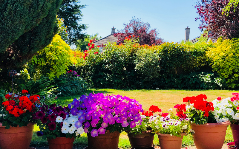 How-Desirable-is-a-House-with-a-South-Facing-Garden