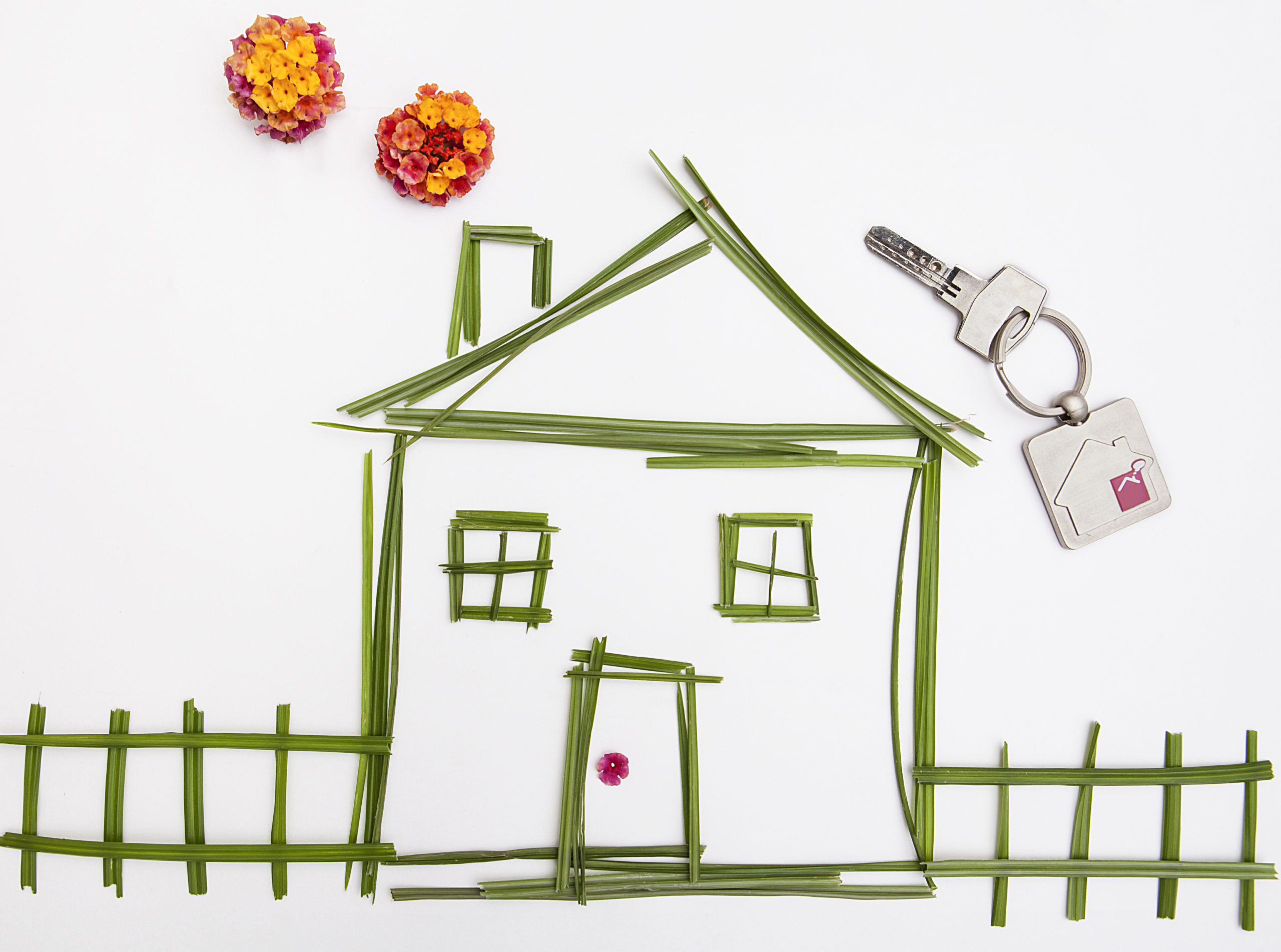 TENANTS-scaled