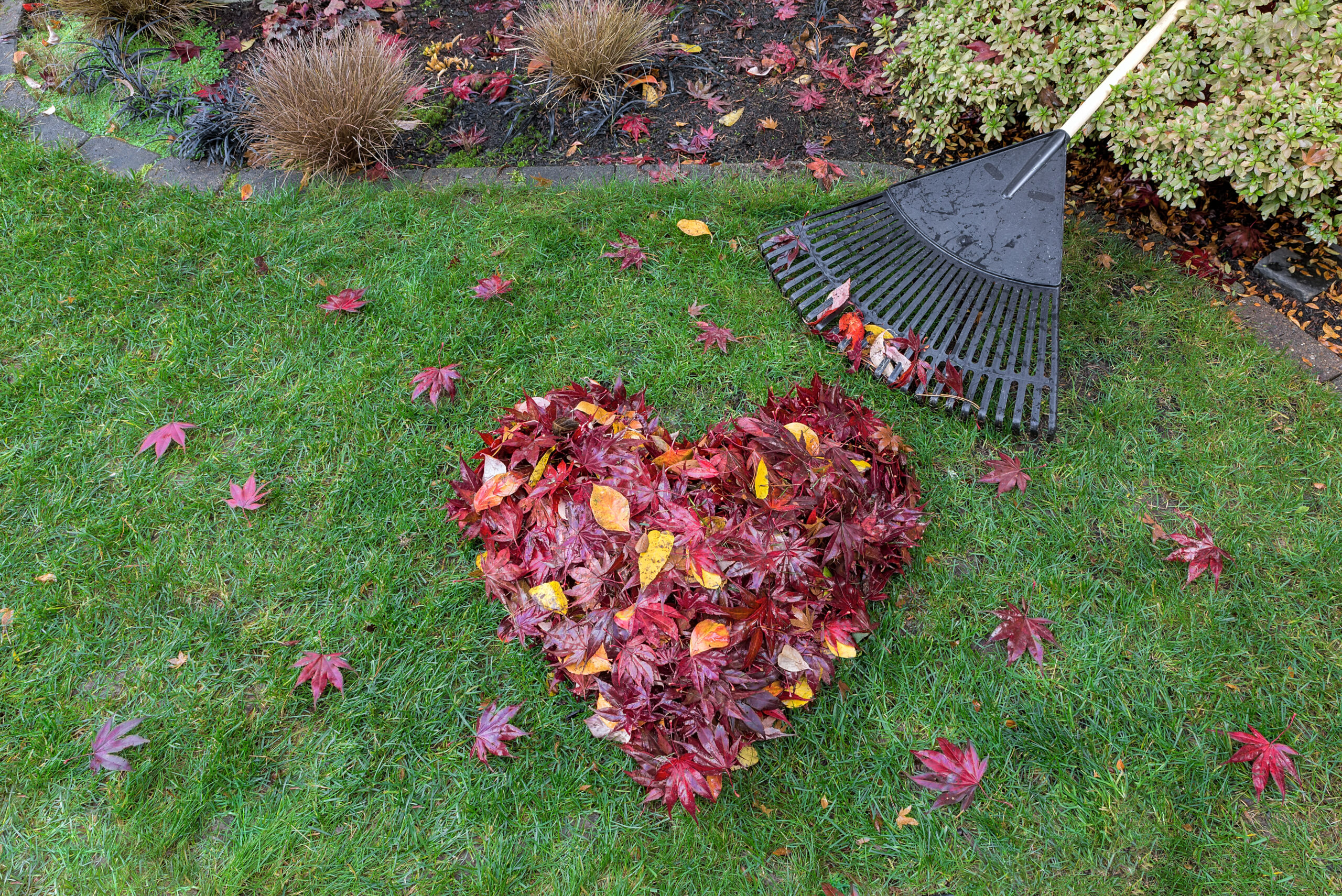 autumn-scaled